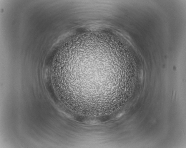 X0000081350503200701251927