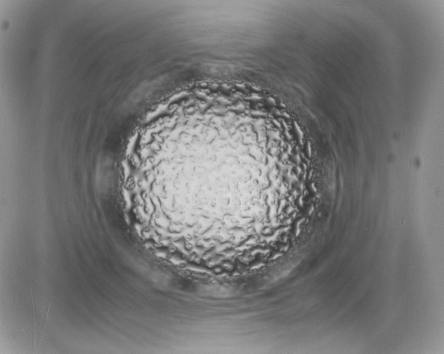 X0000081350511200701251927