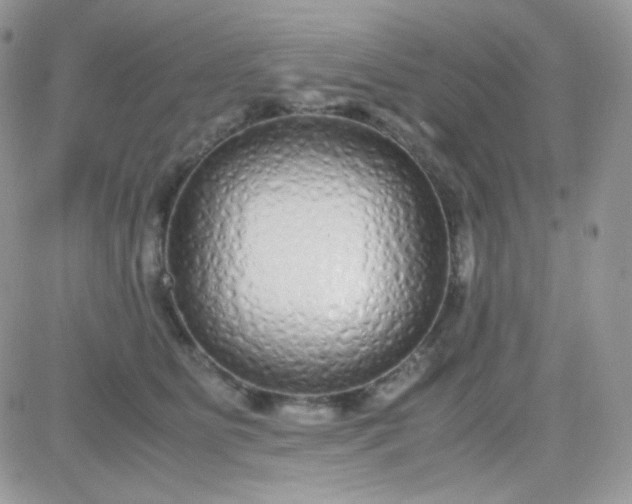 X0000081350515200701251927