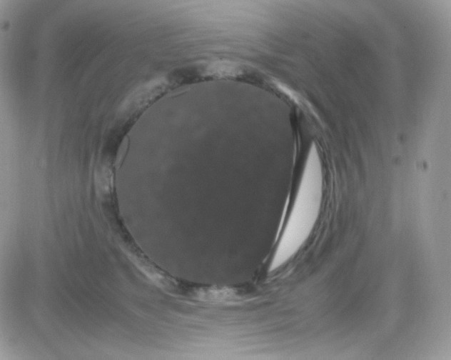 X0000081350517200701251927