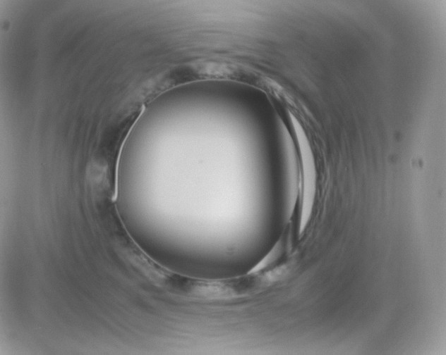X0000081350521200701251927