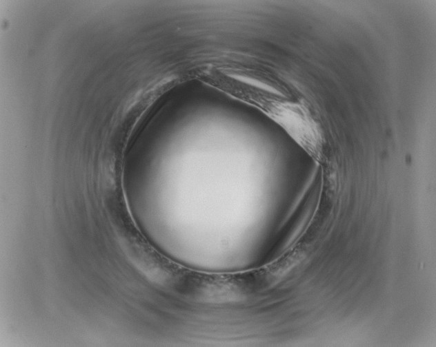 X0000081350547200701251926