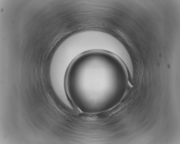 X0000081350548200701251926