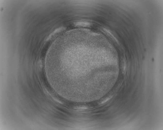 X0000081350551200701251926