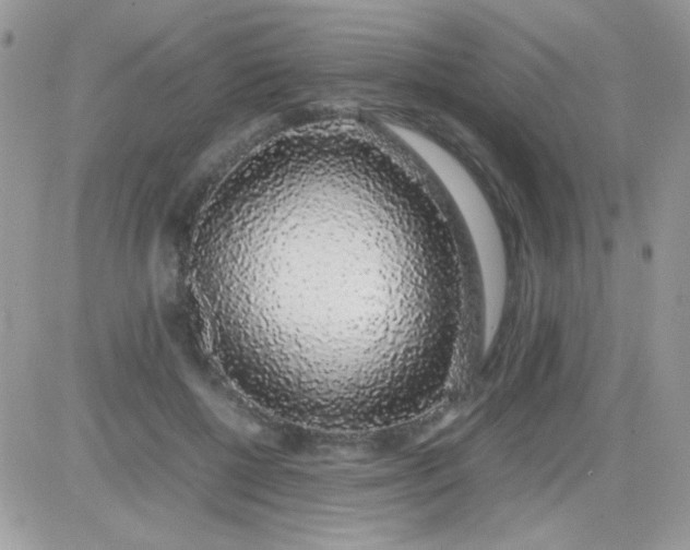 X0000081350552200701251927