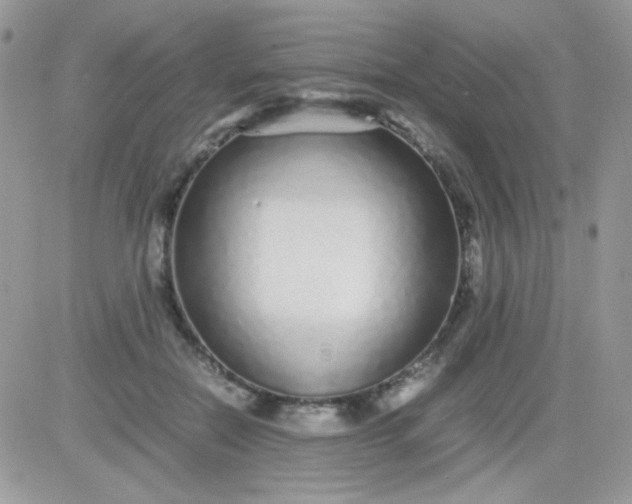 X0000081350554200701251927