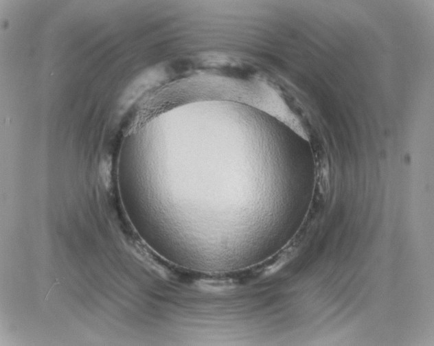 X0000081350556200701251927