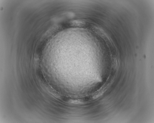 X0000081350557200701251927