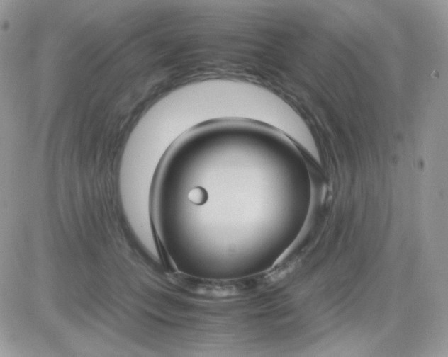X0000081350559200701251927