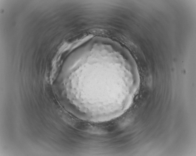 X0000081350561200701251927