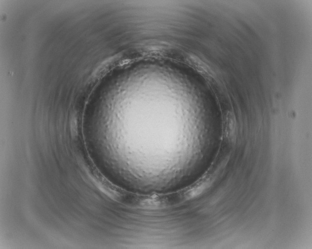X0000081350562200701251927