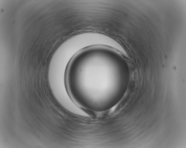 X0000081350564200701251927