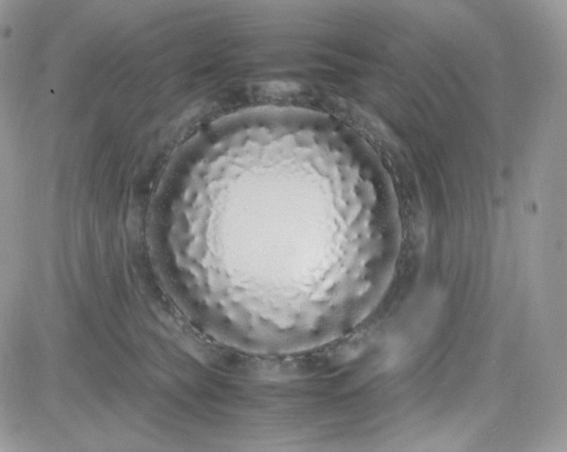 X0000081350565200701251927