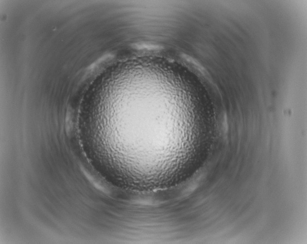 X0000081350570200701251927