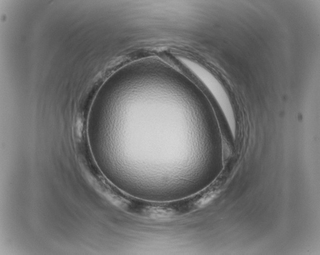 X0000081350597200701251926
