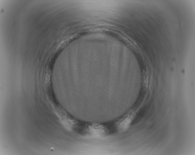 X0000081350603200701251926