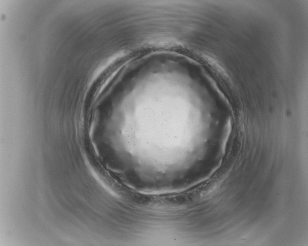 X0000081350630200701251925