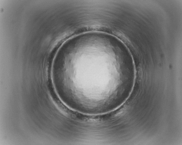 X0000081350638200701251925