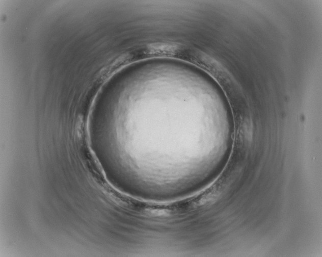 X0000081350649200701251925