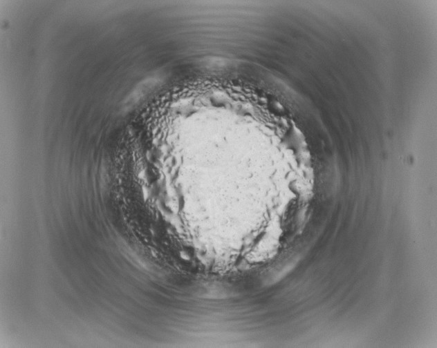X0000081350654200701251925