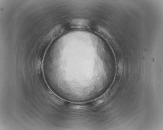 X0000081350657200701251925