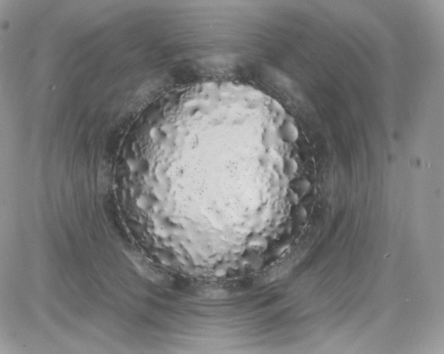 X0000081350658200701251925