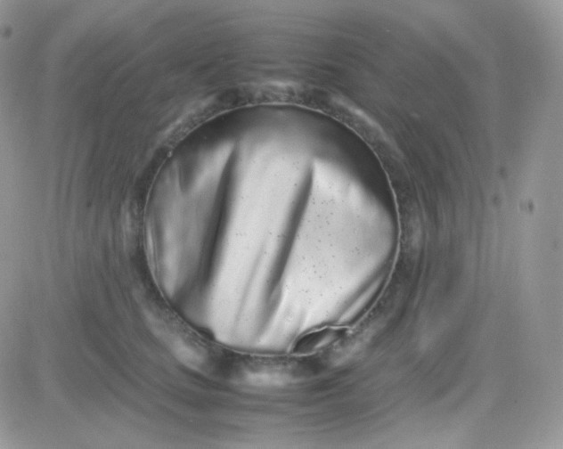 X0000081350661200701251925