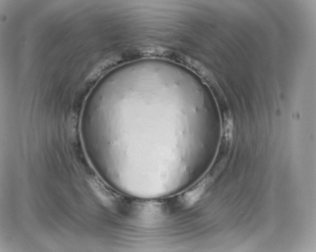 X0000081350664200701251925