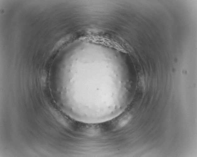 X0000081350668200701251925