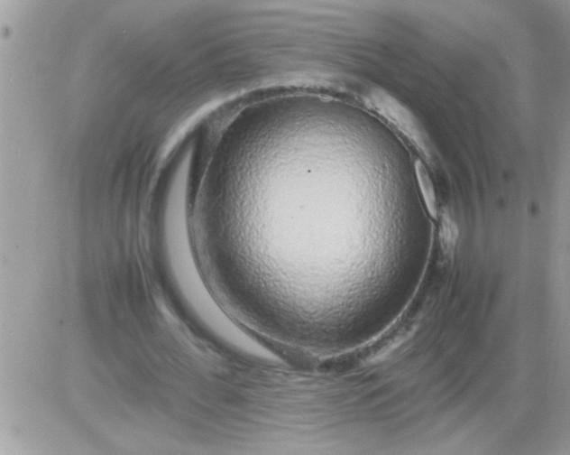 X0000081350676200701251925