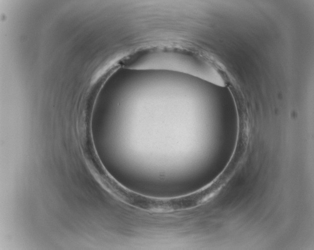 X0000081350677200701251924