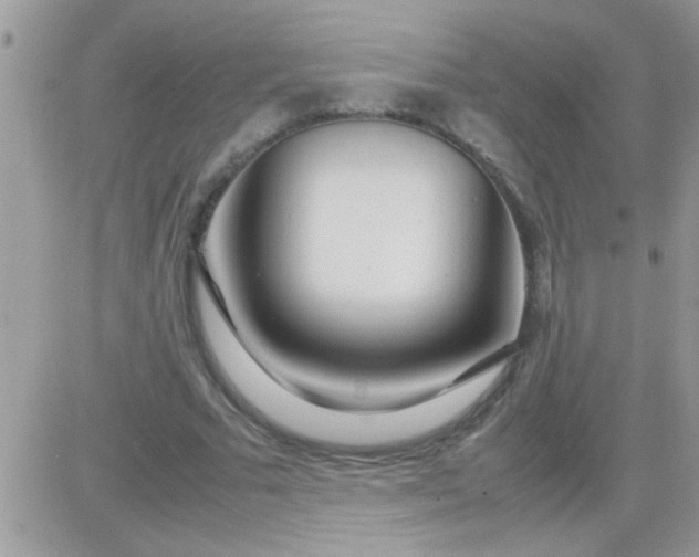 X0000081350681200701251924
