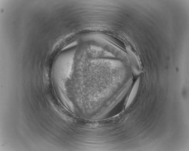 X0000081350688200701251924