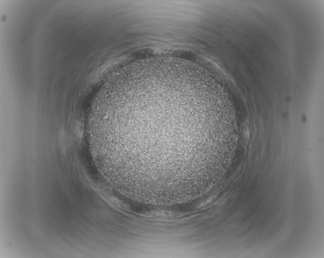 X0000081350691200701251924