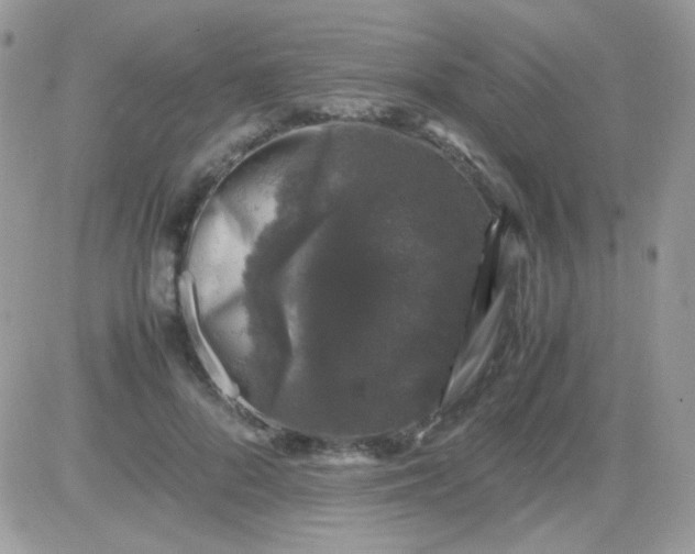 X0000081350696200701251924