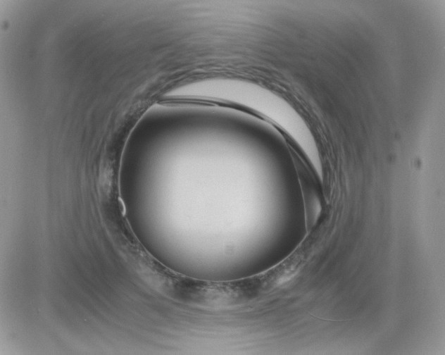 X0000081350697200701251924