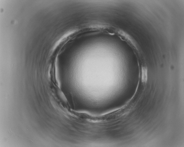 X0000081350723200701251923