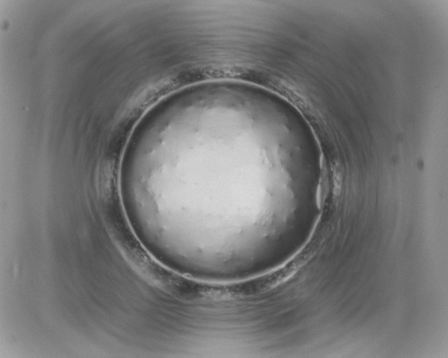 X0000081350742200701251923