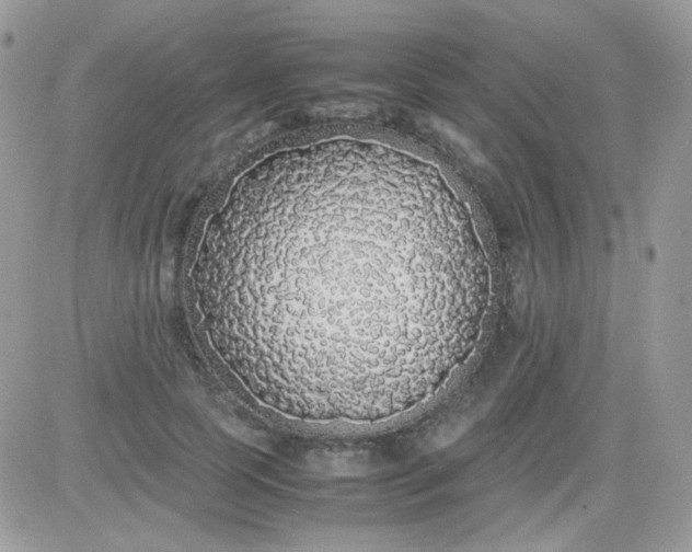 X0000081350745200701251923
