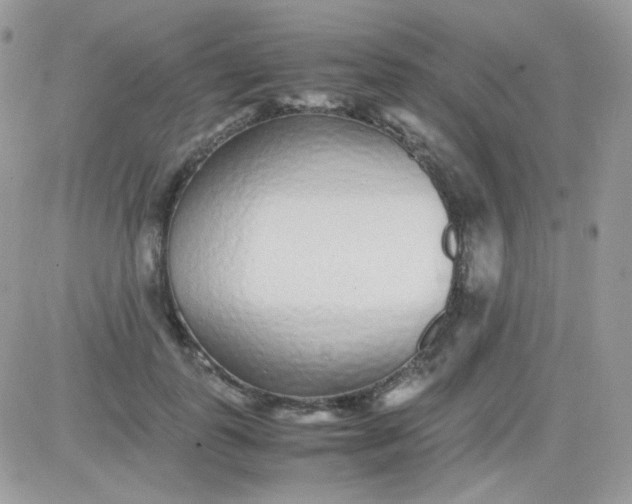 X0000081350747200701251923