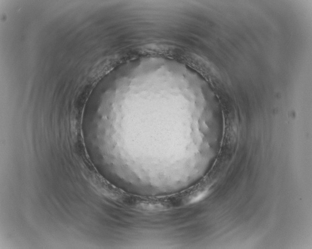 X0000081350749200701251923