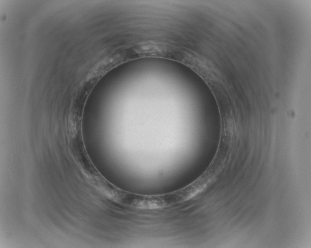 X0000081350751200701251923