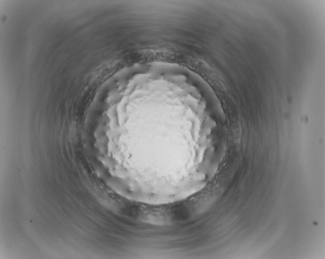 X0000081350757200701251924