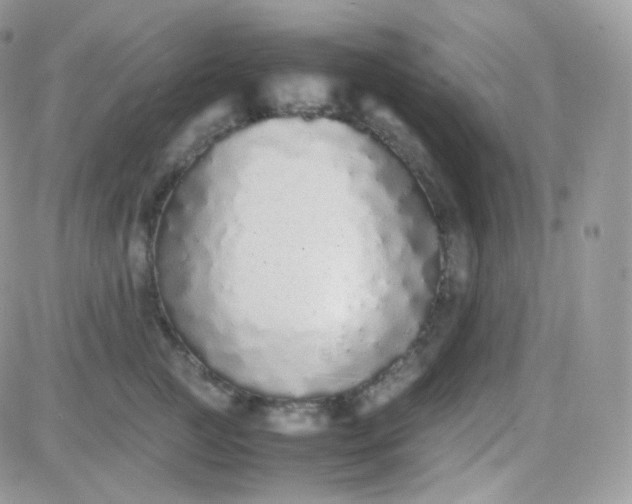 X0000081350761200701251924