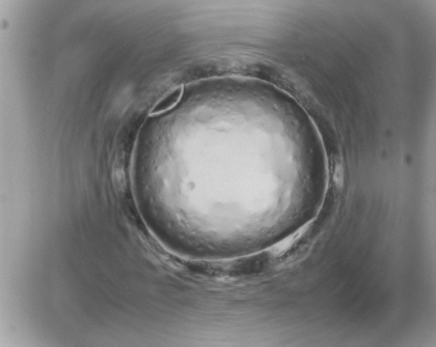 X0000081350771200701251923