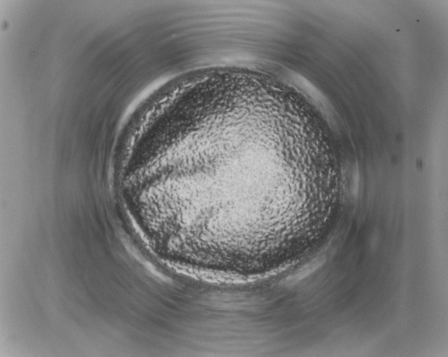 X0000081350780200701251923