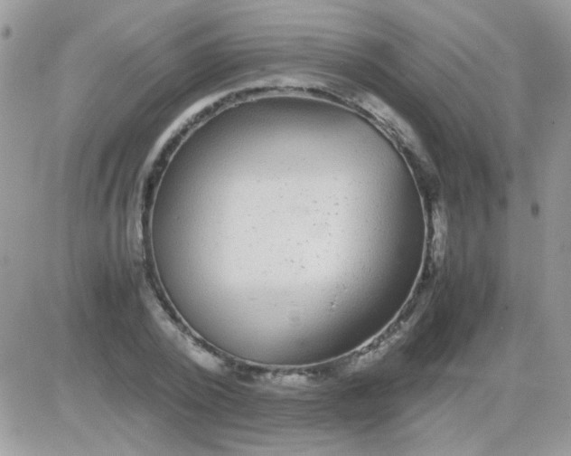 X0000081350784200701251923