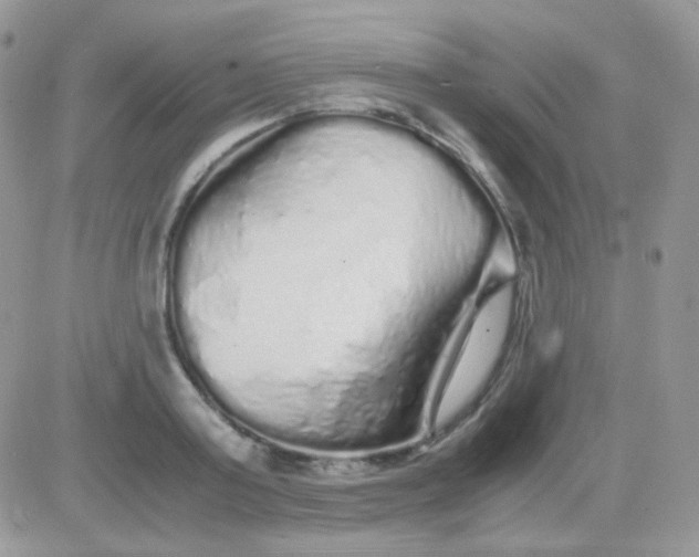 X0000081350795200701251923