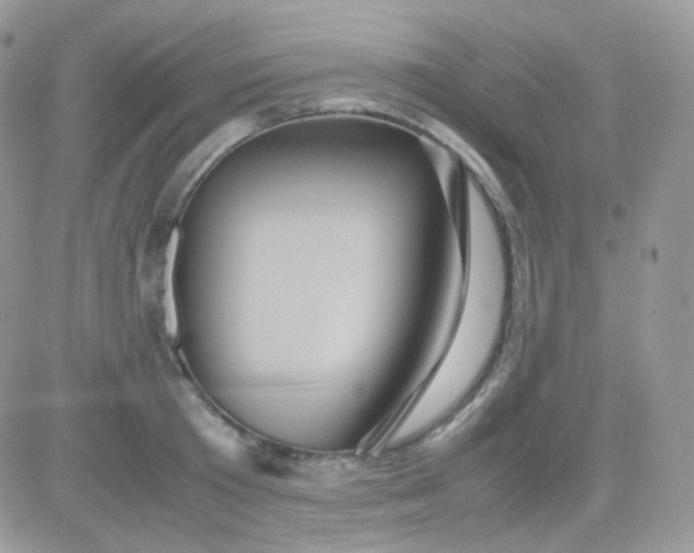X0000081350801200701251922