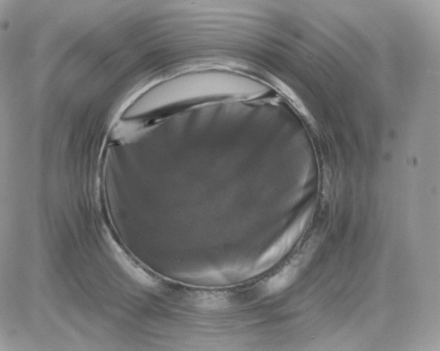 X0000081350802200701251922
